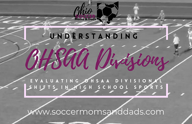 b6ca7e_a9e0f1679b554faab7e1c7658807d300mv2