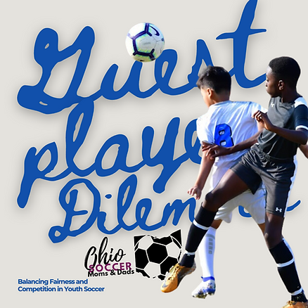 b6ca7e_7a7e1497101e4304b66e975c15b27930mv2