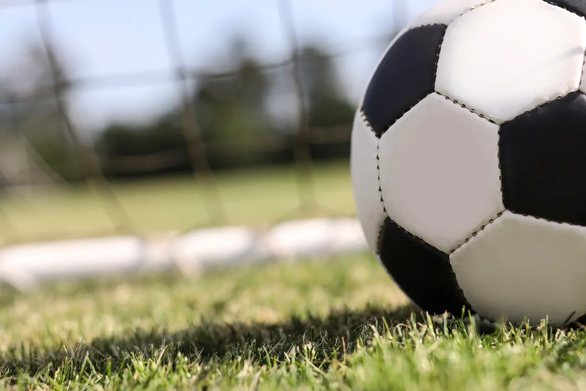 Soccer ball near goal on grassy field.