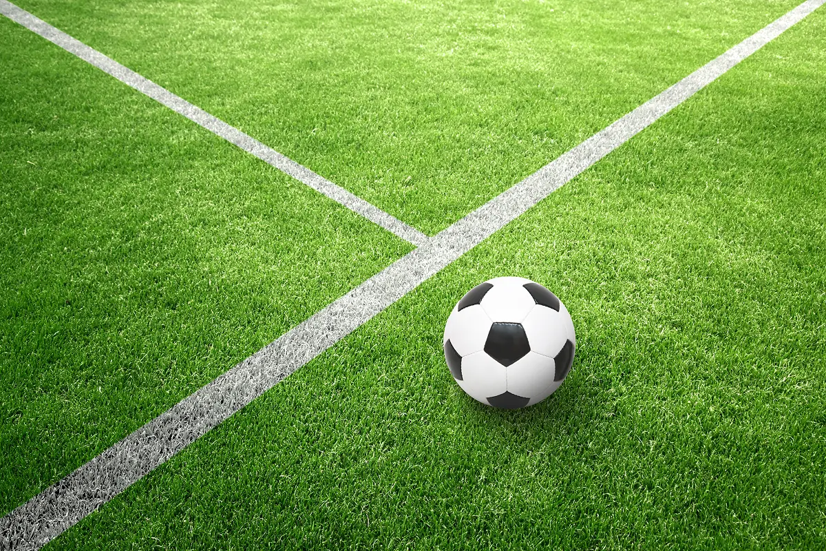 Soccer ball on green grass field.