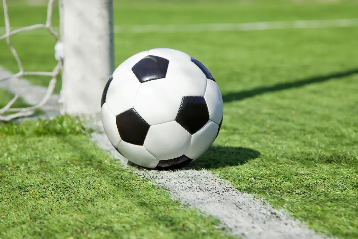Soccer ball near the goalpost on field.