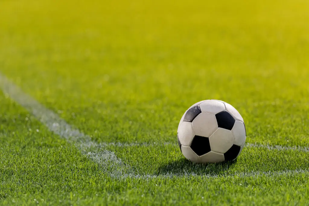 Soccer ball on green grass field.