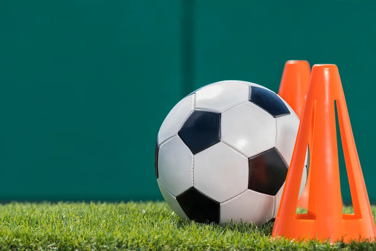 Soccer ball and cones on grass field.