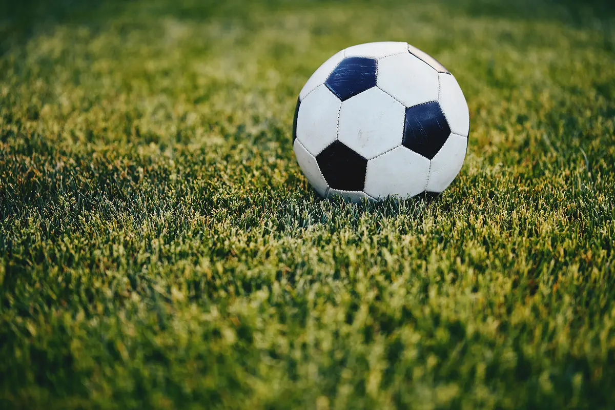 Soccer ball on green grass field.