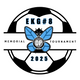 Butterfly on soccer ball logo, 2023 tournament.