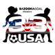 USA-themed 3x3 logo on black background.