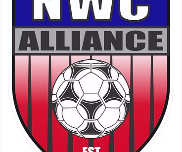 Soccer club badge with ball design.